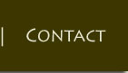 contact David Pedersen